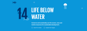 UN Global Goal Number 14 – ‘Life Below Water’